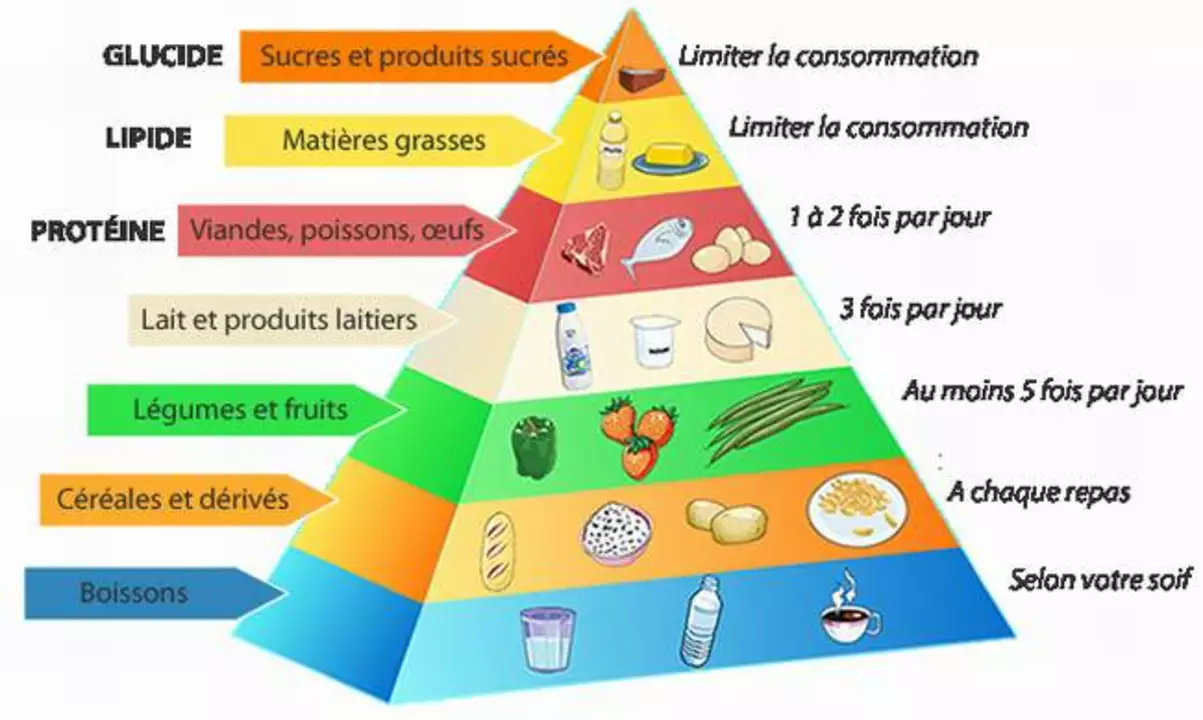 Le Guide Ultime de l'Extrait de Sucre d'Avocat : Comment ce Complément Alimentaire Conquiert le Monde de la Santé